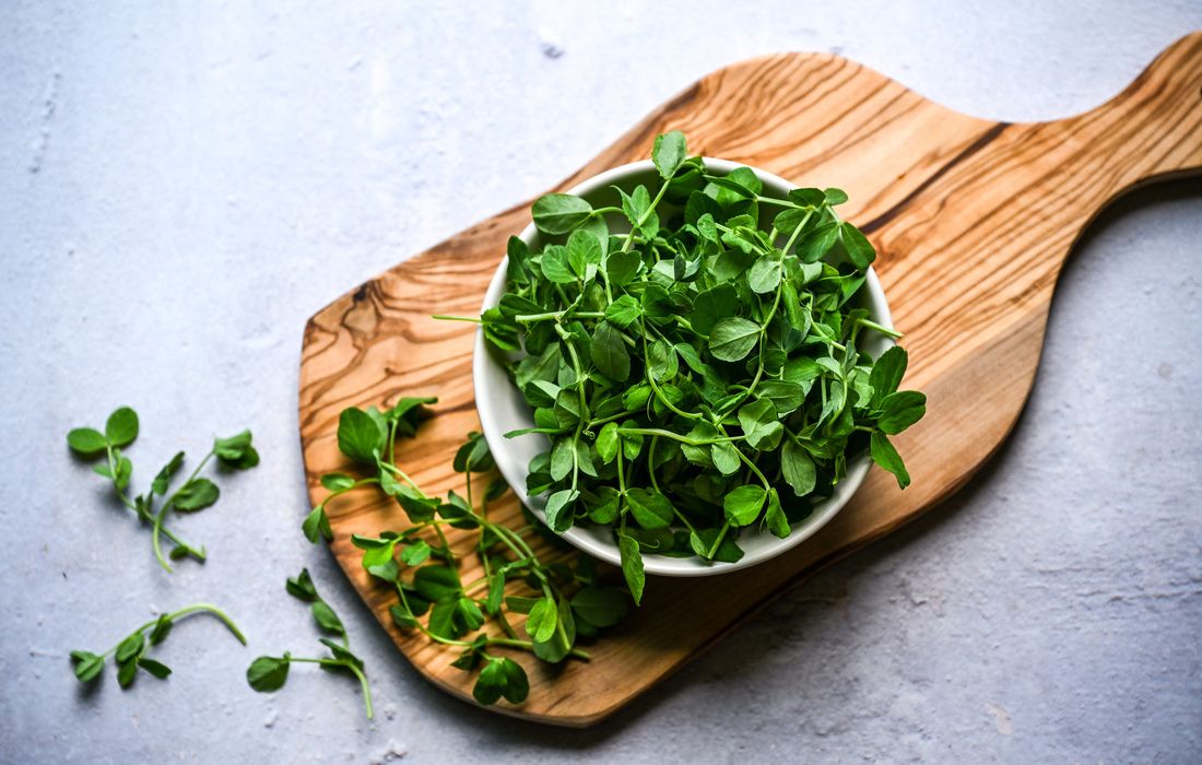 FRESH PEA SHOOTS-1