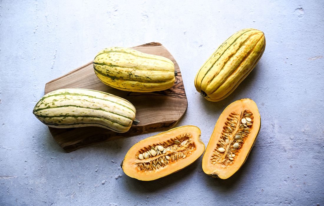 ORGANIC DELICATA SQUASH-34