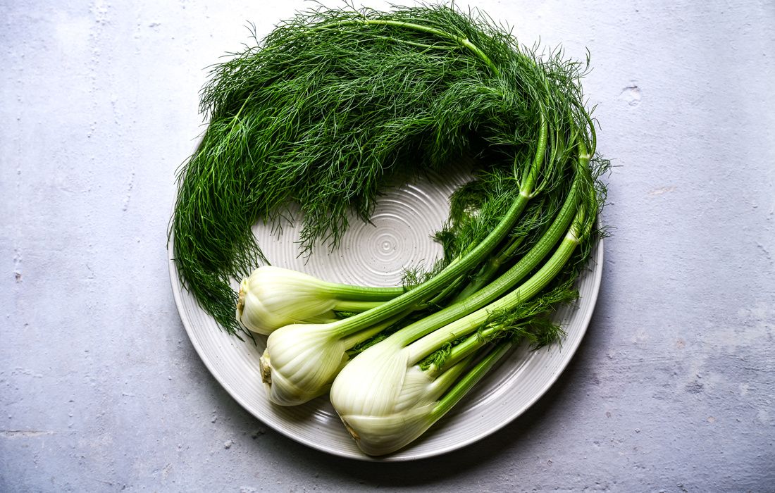 ORGANIC FRESH FENNEL BULBS-1