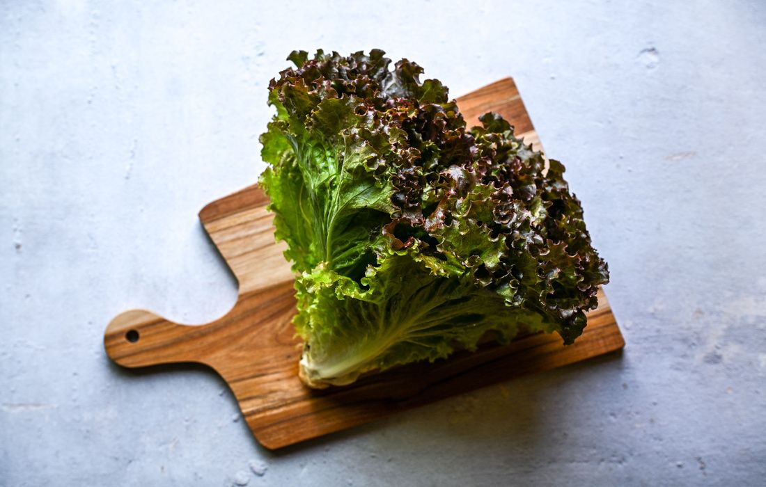 ORGANIC HEAD RED LEAF LETTUCE-1