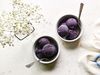 ANTI-INFLAMMATORY BLUEBERRY SORBET SUGAR-FREE-1