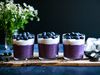LEMON BLUEBERRY CHIA PUDDING DAIRY-FREE VEGAN