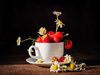 STRAWBERRIES AND CHAMOMILE-2