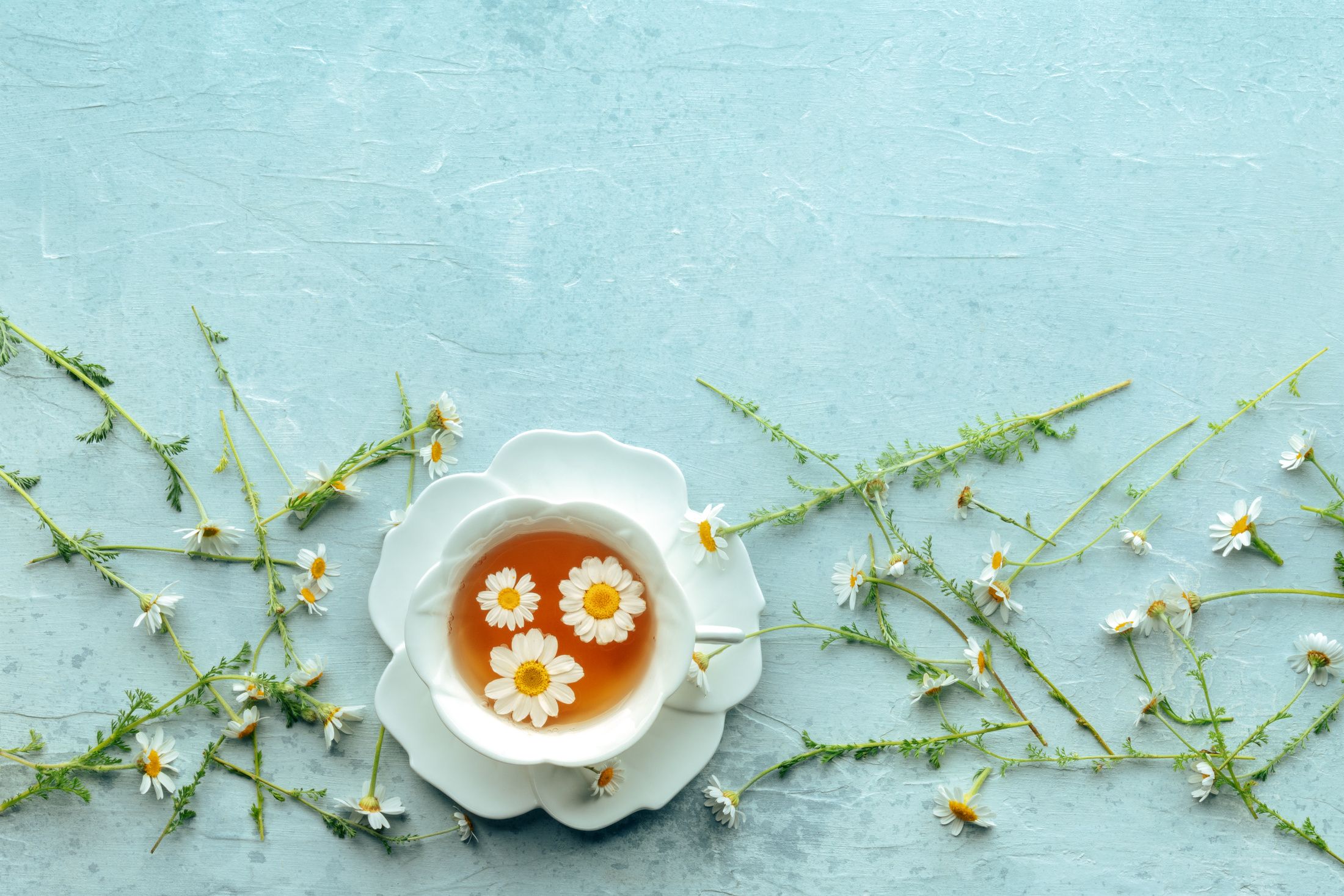 CHAMOMILE TEA-2