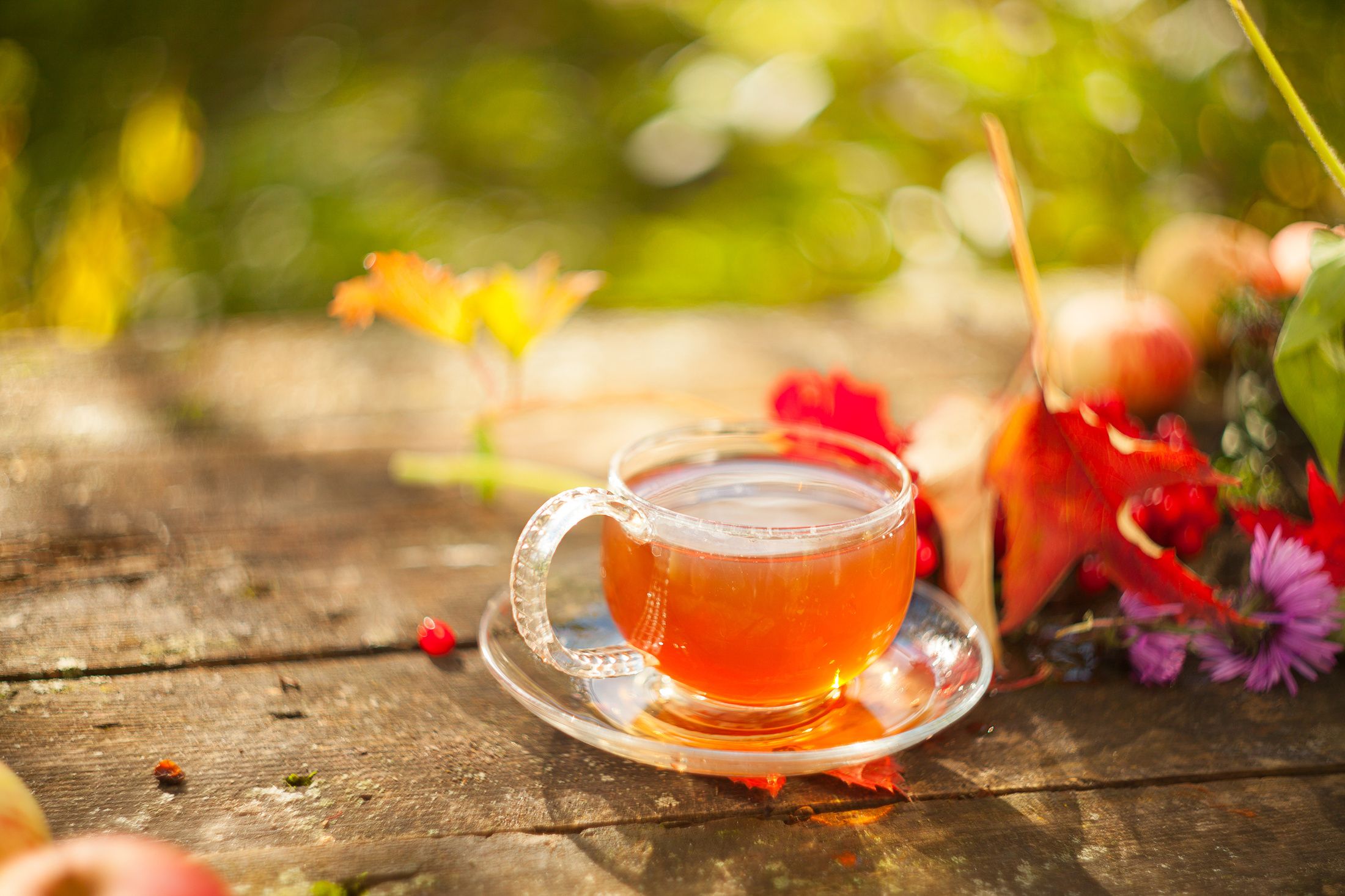 TULSI TEA-2